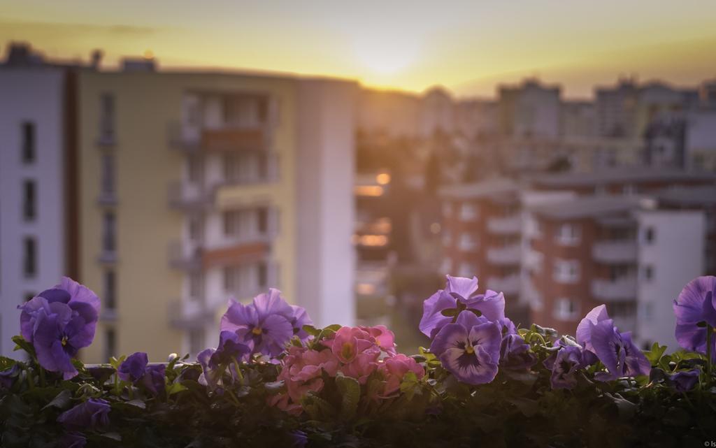 A Nice Place To Stay Apartments Prague Phòng bức ảnh
